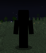 Shadow Player