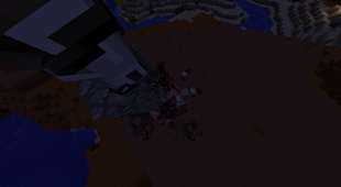 image3.png