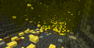 This doesn't happen often, but I found two dragon dens next to each other. It was scary!