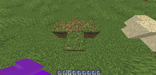footstep effect1.png
