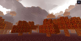 Ember Forest