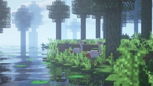 images.jpg