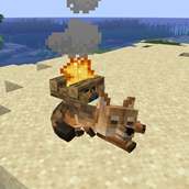 around the campfire