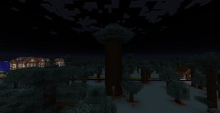 Faraway Tree