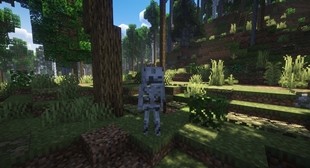 Skeleton.jpg