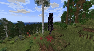 Enderman.jpg