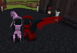 raptors.png