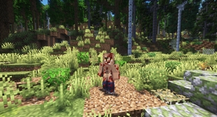 Player.jpg