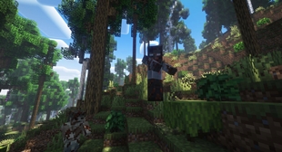 Works with texture packs.jpg