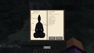Qi Focus Interface