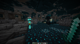 WVSN2.png
