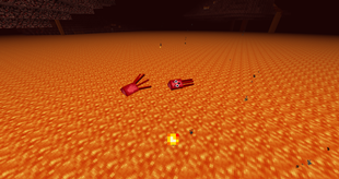 Epic Squid