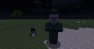 Wither Witch