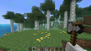 Forest