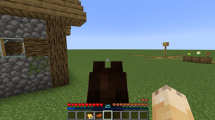 XP Bar