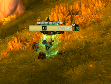 CC cd marker (open world)