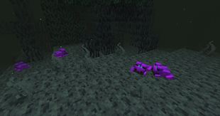 Mire Frog