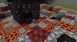 Symbiote from Meteorite