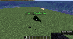 Symbiote