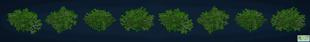 All Leaves