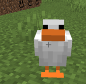 duck chicken
