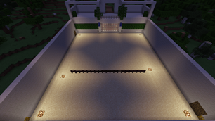 example_large_arena1.png