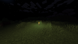 Torch - Night Time