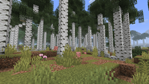 Biome4.png