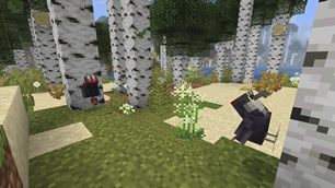 Biome7.png