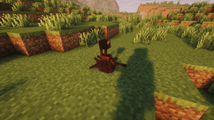more COW