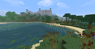 The Swamp
