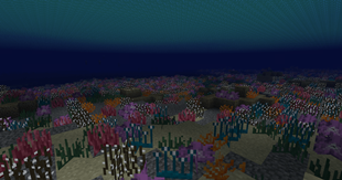 Reef