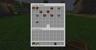 DoubleChest_open.jpg