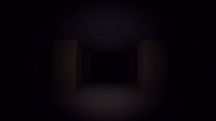 The Backrooms