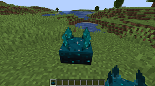 animated textures supported in realtime