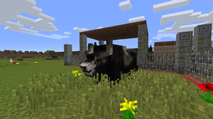 Wild Yak