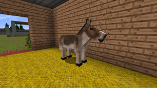 Kiang