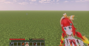 5134.jpg