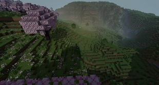 03_blossom_valley_mist.jpg