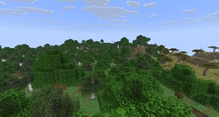 07_vanilla_forest_reference.jpg
