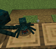 baby spider