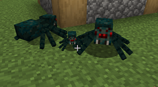 3 tamed spiders