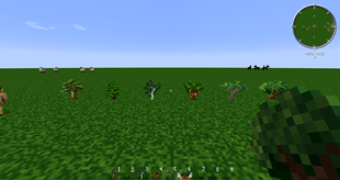 Saplings