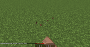 Gameplay Photo