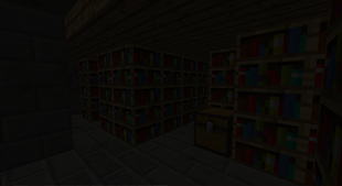 Library Maze
