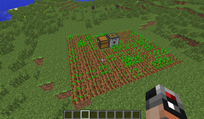 Auto-Farm