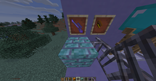 Bow and Arrows