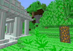 forest