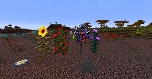 big flowers