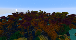 jungle